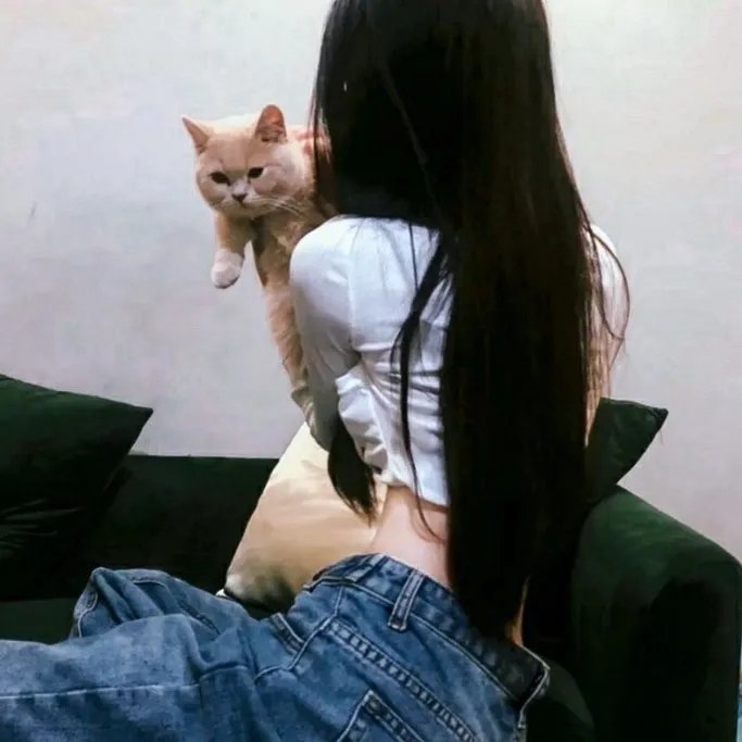 黑狐狸